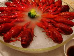 经典冰镇龙虾-红盔甲·小龙虾(天钥桥店)