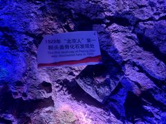 -北京周口店北京人遗址博物馆