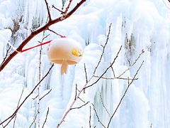 -黑龙潭风景区
