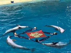 -杭州长乔极地海洋公园