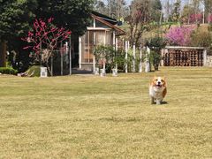 -三圣花乡旅游区