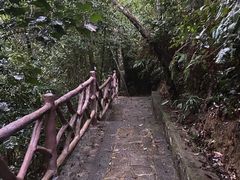 -海南热带雨林国家公园吊罗山景区