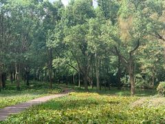 -同里国家湿地公园