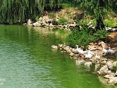 -北京张裕爱斐堡酒庄