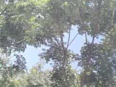 -蝶舞清江·恩施地心谷景区
