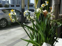 -御龙宴