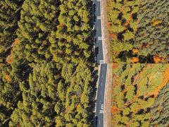 -塞罕坝国家级自然保护区