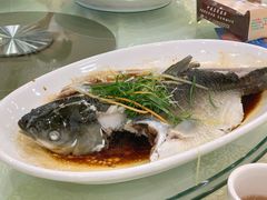 豉油皇蒸山坑鲩鱼-海晖酒楼·顺德鱼生(荣华店)