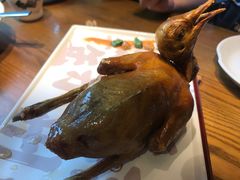 -大鸽饭(岗顶店)