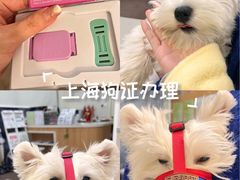 -爱妮康宠物医院·干细胞免疫细胞·肿瘤·心脏(张江店)