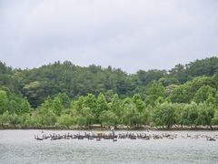 -宁波野生动物园