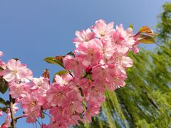 -西安浐灞国家湿地公园