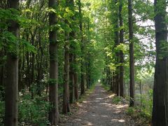 景点-同里国家湿地公园