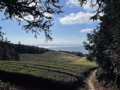 -东钱湖旅游度假区