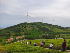 -东白山