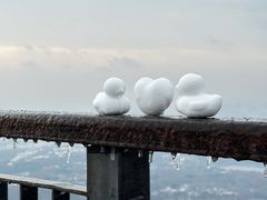 -紫金山山顶公园