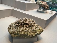 -湖南省地质博物馆