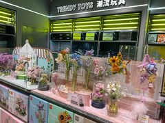 -TOP TOY(大兴荟聚店)