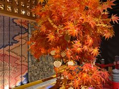 -皇室假期美食水疗会(春风路店)