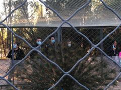 -长白岛森林公园