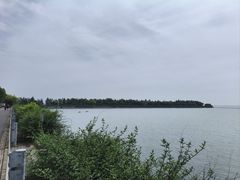 -贡湖湾湿地公园