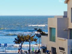 -羊亭河湿地公园