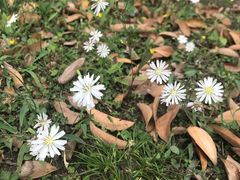 -四川大学(华西校区)