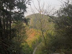 -云碧峰国家森林公园