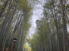 -穹窿山景区