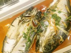 -比亚森自助烤肉料理(裕华店)