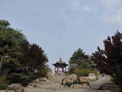 -大兴滨河森林公园