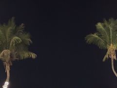 -JW万豪厨房餐厅·滨海草坪烧烤·海鲜·海景(三亚绿发山海天JW万豪酒店)