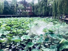 -四川大学(望江校区)