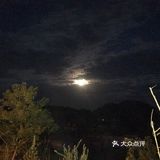 永远畅游在海中 有圆，有残 每次都是这样 她望着我的心