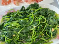 炒红薯叶-众味海鲜大排档·活海鲜·潮汕味(南澳店)