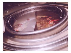 -蜀留香火锅·始于1999·原四川老火锅(白堤路店)