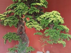 -阿伟海鲜楼·福建菜(延寿店)