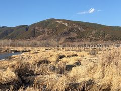 -泸沽湖国家级风景名胜区走婚桥