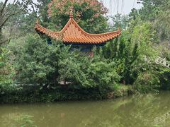 -日照海滨国家森林公园