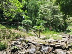 -梧桐山风景名胜区