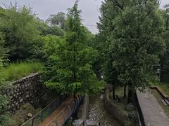 -白水寺森林公园