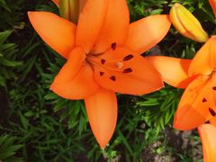 -长春公园(普阳街道)