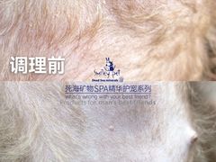 -汪小喵宠物·戴维斯乐芳希施宠馨宝皮毛调理洗护店