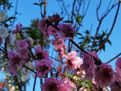 -桃花涧