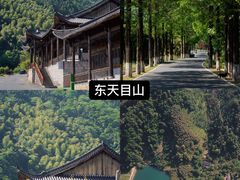-东天目山风景区