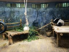 -深圳野生动物园