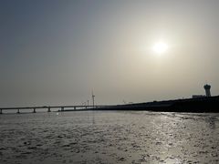 -南汇新城海滩