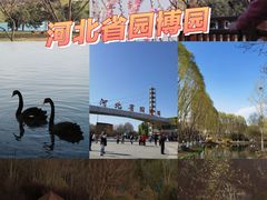 -河北省园博园