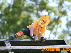 -春花秋色城市公园