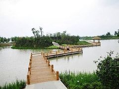 -艾溪湖湿地公园